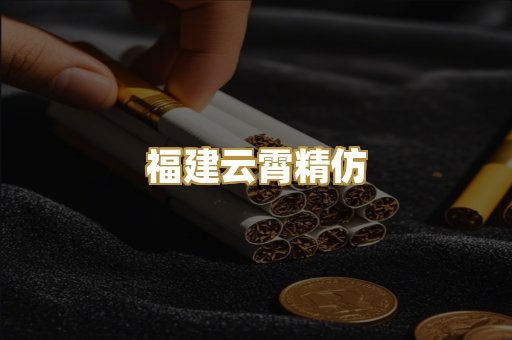 福建云霄精仿